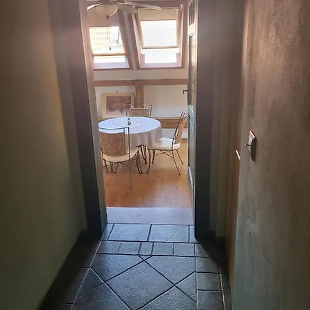 Roof Ztracena Olmütz